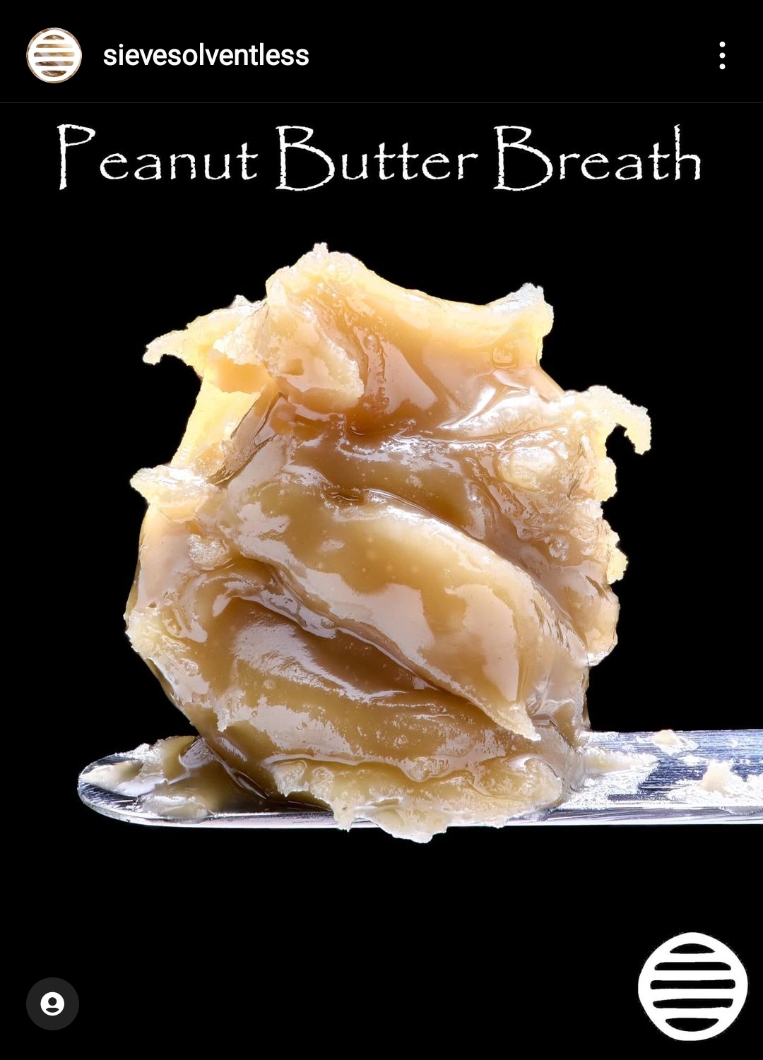 Peanut Butter Breath Hash Rosin by Sieve Solventless